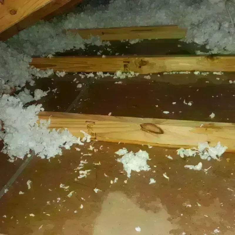 Attic Water Damage in Louisville, NE