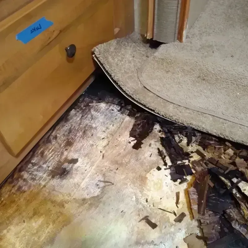 Best Wood Floor Water Damage Service in Louisville, NE